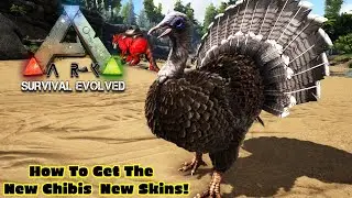 Farming Wishbones and Hunting For Event Colors! Turkey Trial Livestream!