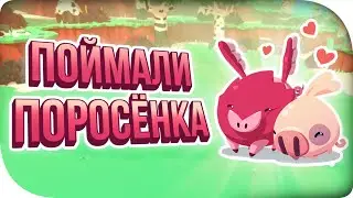 ХРЮШКИНА СЕРИЯ! ► TemTem
