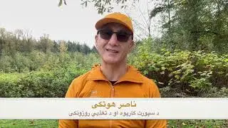 لوی او واړه مغذی موادونه
