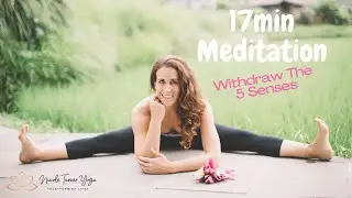 17min Meditation | Withdraw 5 Senses | Pratyahara | 5th Limb of Yoga | Check My Schedule Below👇