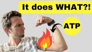 How do we use ATP?