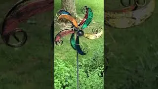 Leaf Katydid spins on a spinner #katydid #leafkatydid #insectfun insect having fun