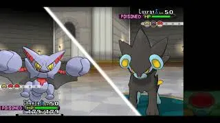 Pok&eacute;mon Y: Battle Maison Mega Kangaskhan Backup Cheese Strat