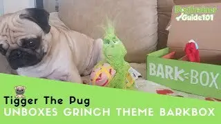 BarkBox Review | BarkBox Unboxing | November 2018 | Limited Grinch Theme Edition
