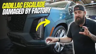 NEW Cadillac Escalade Riddled With Defects | The Bays Romeoville PPF, Ceramic Coating, Window Tint.