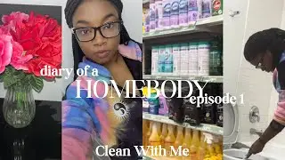 Homebody Diaries | Dollar Tree Valentines Decor-Clean With Me + Chat and catch up 