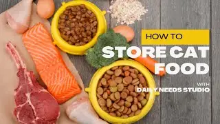 How to Store Cat Food Properly for Maximum Freshness