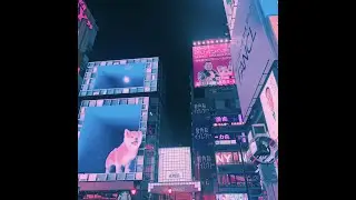 鈍打uncertified - B2