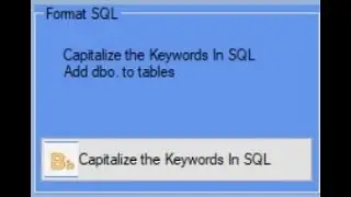 iViva Helper - Capitalize the keywords in SQL - User guide