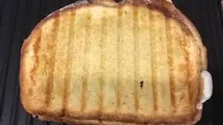 Tomato Mozzarella Panini Sandwich