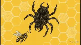 Cooking to Save the Bees