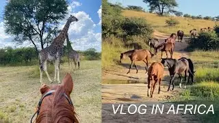 vlog: rinoceronti, safari, sunrise ride con la gopro🦏🐴|| Flaminia Bologna