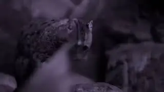Мотивация