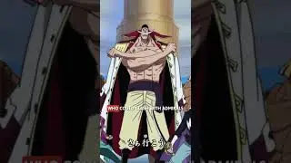 Preview - The Uncrowned Emperor | Marco The Phoenix #onepiece  Character Analysis #anime #manga