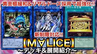 【遊戯王】封印の黄金櫃緩和&リザルドーズ採用で超強化！新制限対応M∀LICE【マリス】【デッキ&展開紹介】