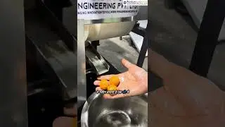 Automatic Laddu Making Machine Demo | Start Laddu Business | Best Sweet Machine 2025
