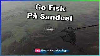 Hav&oslash;rred / Sea Trout - Fiskeri / Fishing 2022