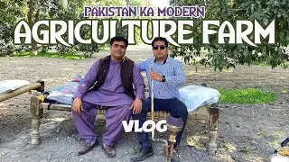 Exploring Modern Agriculture Technology at Mumtaz Manais Farm | Tibba Sultan Pura