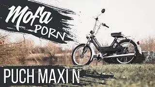 Mofaporn: Puch Maxi N | mofakult.ch