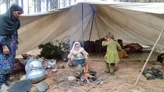 Nomadic Women Lifestyle In Pakistan