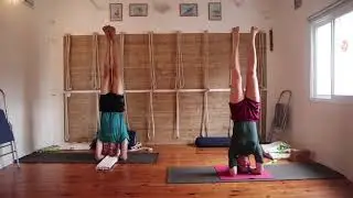 Yoga Training to Strengthen The Immune System