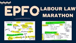 All labour Acts in 1 Video
