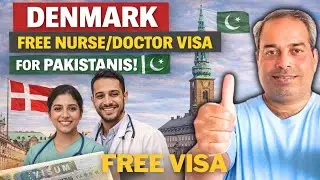 Can Pakistani Nurses & Doctors Get a Denmark Visa? Latest Update