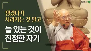 서울 양천향교역 목탁소리휴 수요법회 실시간 법문