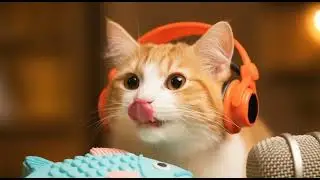 Little Cat ASMR Eating Fish Cake 🐟 (Ultimate Relaxation Sounds) | Cat Mukbang 🎧