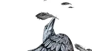 VB - Evolution Graphique