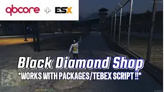 [ESX/QBCore] Flake's Black Diamond Shop - ( Grizzley World / D10 Inspired )