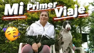 como VIAJAR con TU PERRO🦮 en CARRO 🚙 *TIPS para TODA la VIDA* 😱🤗