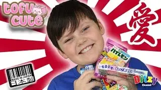 Kid trying Japanese Chocolate Candy & Sweets Episode #2! The Ditzy Channel