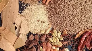 Shahi Garam Masala Powder Recipe | Homemade Garam Masala Recipe