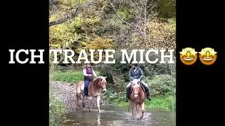 Stella - Der erste Wasserdurchritt