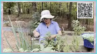 How Food and Nutrition Affect Behavior-A Real Connection