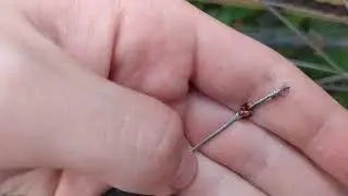 Переключатель, шифтер, манетка Sachs/Sram pentasport 5