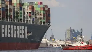Global Supply Chain Chaos