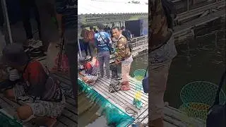 SEMUA HASIL #Mancingterbaru #mancingmabar #hmk #kolam