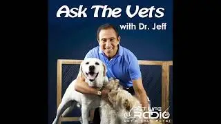 Ask the Vets - Episode 514 September 21, 2025
