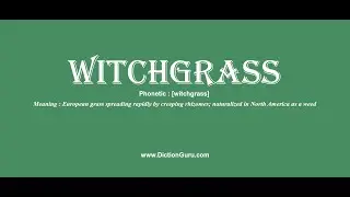 witchgrass: How to pronounce witchgrass with Phonetic and Examples