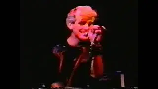 Red Beret - NYB