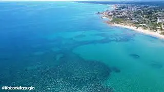 Torre Specchiolla, Casalabate - IL FALCO DELLA PUGLIA