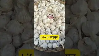 Life of लहसुन 🤣 | #shorts