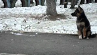 MOV06426