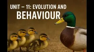 Unit 11: Evolution & Animal Behaviour | ANIMAL BEHAVIOUR | Kalyani Jha