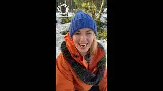 P&auml;ivikki - The Finnish Happiness Guide
