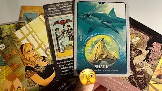 How does your crush views you? Crush current energy | Hindi tarot card reading