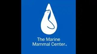 Inside the World's Largest Marine Mammal Hospital with Adam Ratner Marine Mammal Center Sausalito CA