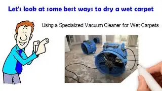 Cleaning: What is the Best Way to Dry A Carpet?